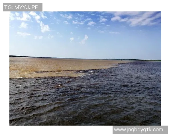 南美足球明星堪布斯的传奇人生与辉煌成就解析